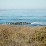 cambriaDR_0043 (November 02, 2019)